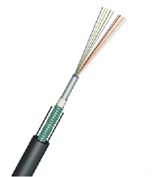 <p>
The Outdoor Cable Central Loose Tube Tape from Hiphotonics is a type of fiber optic cable that is made particularly for use outside. This cable has a steel-wire parallel element in it that protects the fibers and fills in the gaps. It also features a steel tape that makes it more compact and light.
</p>
<p>
This kind of cable is good for putting pipelines in the air, where it can be strung between poles or buildings. It has great mechanical and environmental qualities, which means it can withstand bad weather and other outside forces quite well. It's also incredibly basic to use, so it's easy to install and take care of.<br/>
</p>
<p>
One of the best things about this kind of fiber optic cable is that it can be used for both long-distance and local area network connectivity. This makes it perfect for a wide range of uses, from homes and businesses to factories and warehouses. It lets data move quickly, which makes sure that connections are stable even over great distances.
</p>
<p>
<br/>
</p>